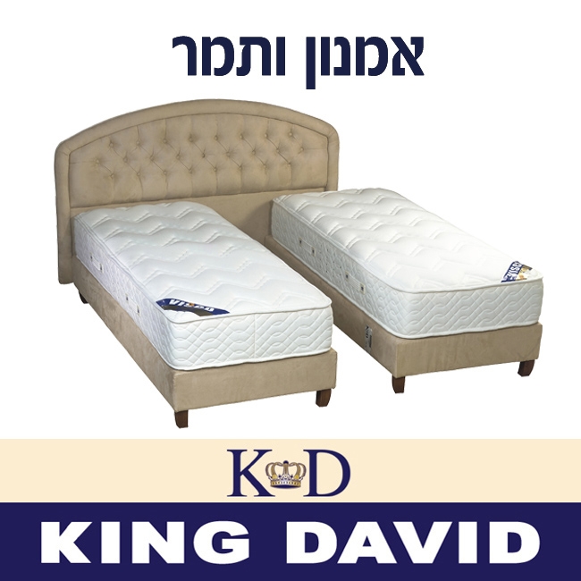 אמנון ותמר